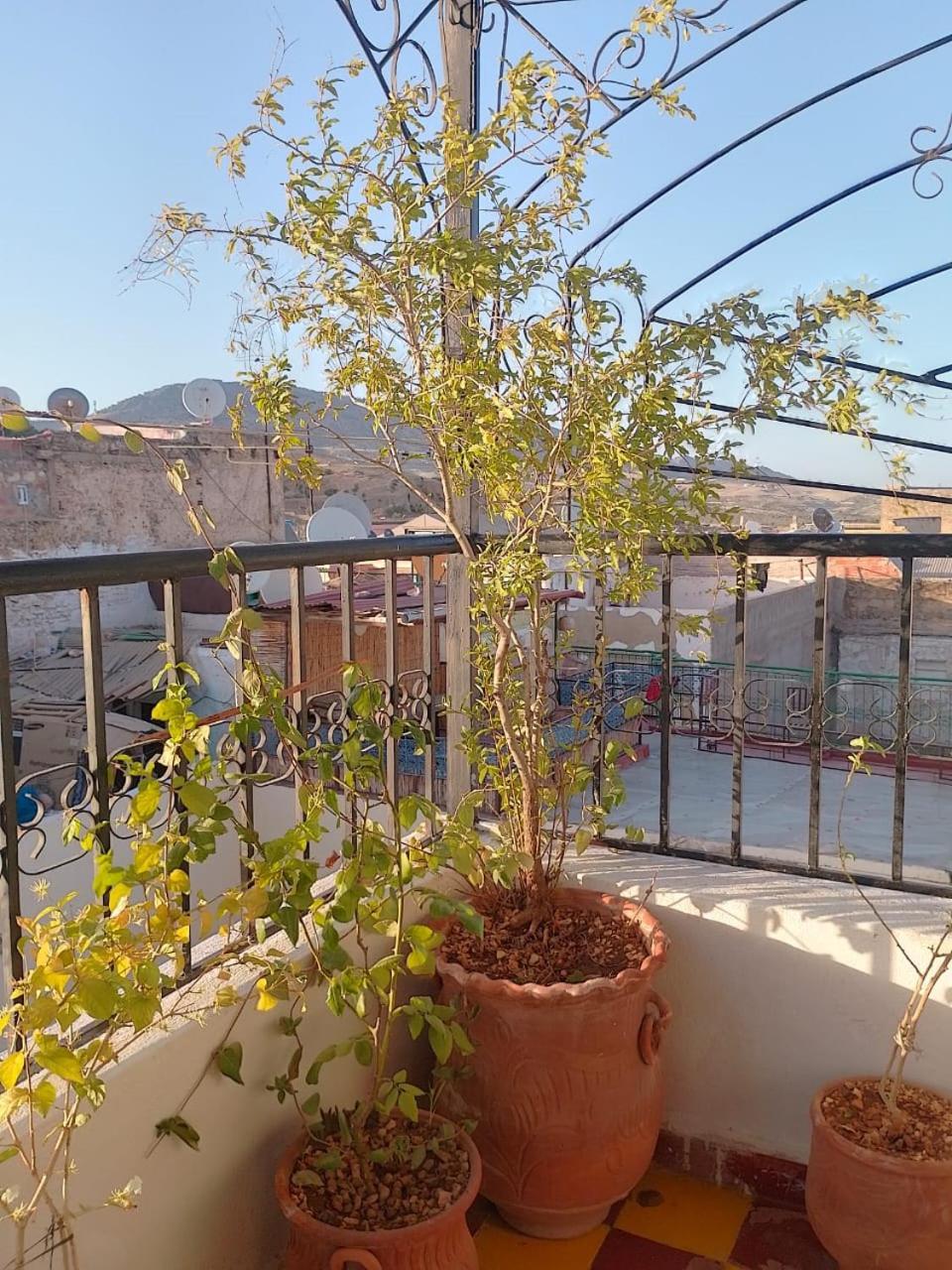 Riad Drissia Panoramic Fez Kültér fotó